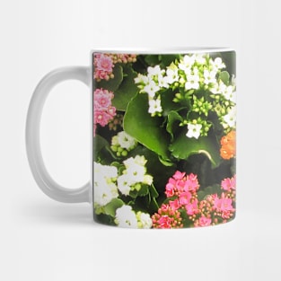 Kalanchoe Flowers Mug